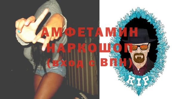 ПСИЛОЦИБИНОВЫЕ ГРИБЫ Михайлов