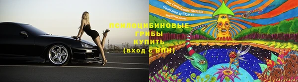 гидра Медногорск