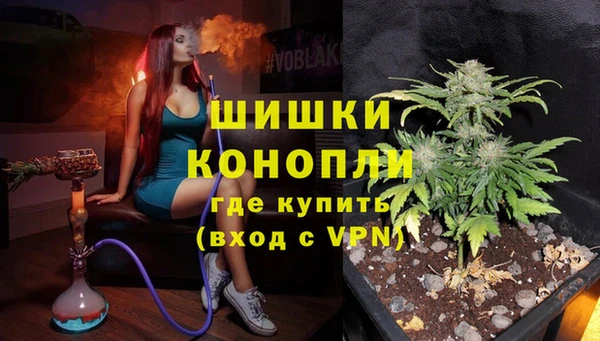 ПСИЛОЦИБИНОВЫЕ ГРИБЫ Михайлов