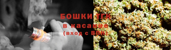 гидра Медногорск